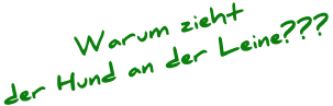 Warum zieht  der Hund an der Leine???